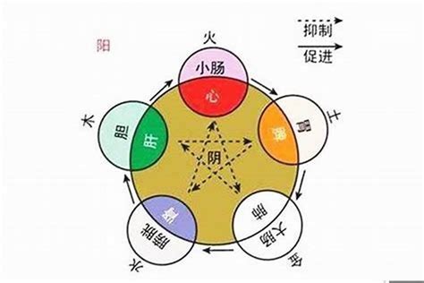 詠五行|咏字的五行属性